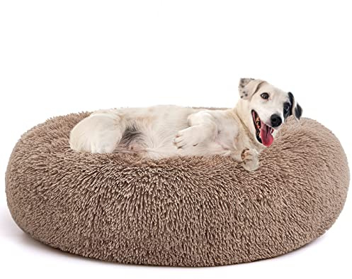 MIXJOY Letto ortopedico per cani, comodo, a ciambella, rotondo, ultra morbido, lavabile, cuscino per cani e gatti (76 x 76 cm) (marrone)