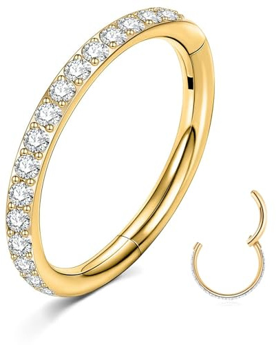 ESHIONER Nasenpiercing G23 Titan Hypoallergen Nasenring Silber Gold Septum Piercing Helix CZ 18G 16G Clicker Ring Nostril Tragus Conch Piercing Ring Nase Daith Rook Piercing Schmuck 6MM/8MM/10MM/12MM
