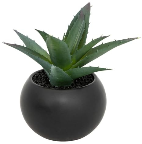 Atmosphera - Plante grasse en pot H13