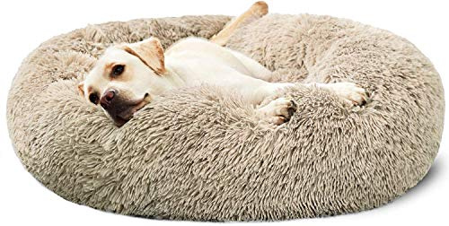 LINRUI Donut Hundebett Flauschig Katzenbett Waschbar Abnehmbarem Hundekissen, Schönes Hundekörbchen Deluxe Weiches Plüsch Haustierbett für Katzen Hunde,100cm,Beige