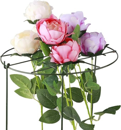 Paraguas Obelisco Enrejado de jardín, Soporte for Plantas, estacas de jardín, Mini Enrejado de Escalada for Bricolaje, Soportes de Flores, jaulas de peonías for Hiedra, Rosas, pepinos (Color : 30x40c