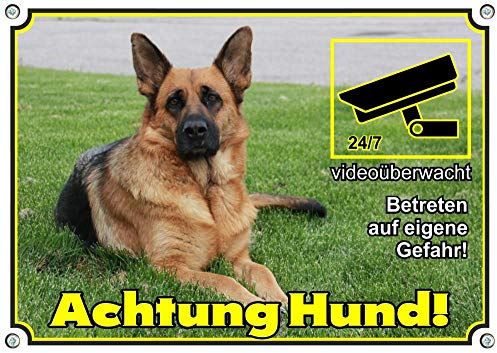 Petsigns Hundeschild - Deutscher Schäferhund + videoüberwacht - Warnschild, DIN A5