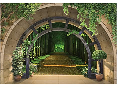 Fototapete 3D EFFEKT Waldweg Fenster mit Aussicht Natur Ausblick Wohnzimmer Schlafzimmer Vlies Tapete inklusive Kleister Wandtapete UV-Beständig Montagefertig (14088, V8 (368x254 cm) 4 Bahnen)