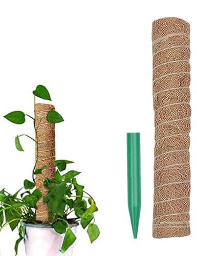 Moss Pole - Supporto per piante rampicanti, totem ecologico in fibra di cocco, bastoncini di muschio totem per piante, e orchidee, Monstera, piante per uso interno ed esterno, 32 cm, 42 cm e 52