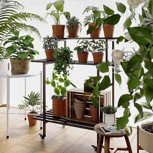 Soporte para plantas de interior, estante alto de hierro de 2 o 3 niveles para varias plantas, soporte para flores de esquina, escalera para plantas, soportes para flores, jardinera Junvstor(Type B 11