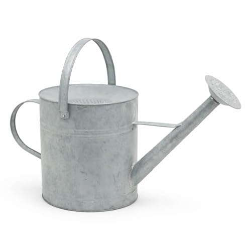 CKB LTD Regensammel-Gießkanne 8,7 l – Große Gartendose für den Außenbereich, Zink-Metall, für die Regenwassersammlung mit abnehmbarer Rose und verstellbarem Griff