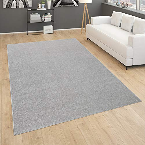 Paco Home Alfombra Salón Lisa Pelo Corto Sencilla Moderna Color Plata, tamaño:80x150 cm