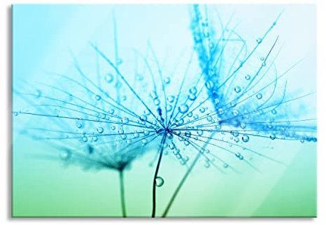 Pixxprint Glasbild, Wandbild aus Echtglas, Pusteblume bedeckt mit Tropfen, 100x70 cm, inkl. Aufhängung und Abstandshalter