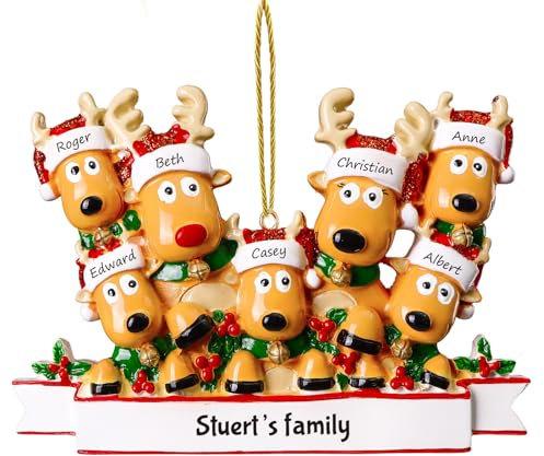 Personalisierte Weihnachtsanhänger mit 7 Familiennamen - 2024 Kunstharz-Weihnachtsbaumschmuck Personalisierte Weihnachtskugeln Familie für Weihnachtsbaumdekorationsgeschenke