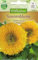 Chrestensen Sonnenblume 'Gefüllte Riesen'