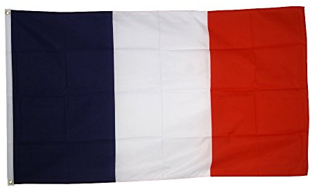 Flaggenfritze® Frankreich Flagge 60 x 90 cm, handliche französische Fahne mit 2 Metallösen für Fanmomente, Balkon und Partydeko + Gratis Sticker