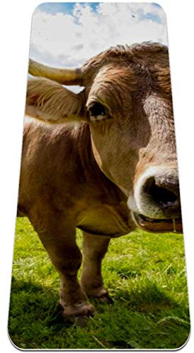 Eslifey Prärie Yoga-Matte mit Tierrindern, Kuh, dick, rutschfest, für Damen und Mädchen, Trainingsmatte, weiche Pilates-Matten, (183 x 61 cm, 0,6 cm dick)