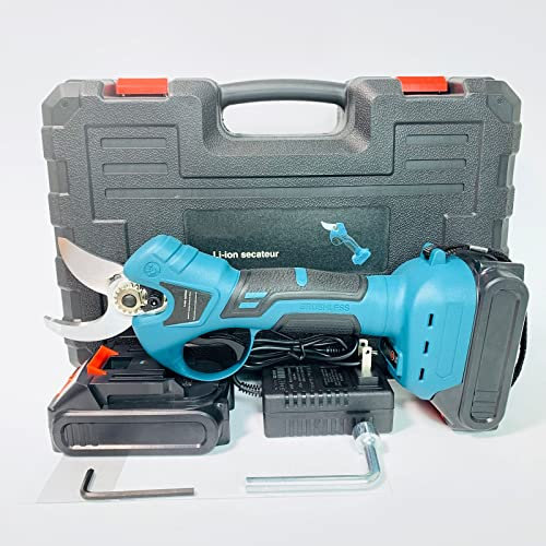 Forbici Per Potatura Elettriche Cesoie A Batteria Troncarami Taglio 30 mm Giardinaggio Fai Da Te, 2 Batterie, Caricatore, Valigetta Per Trasporto Strumento Professionale Ulivi Alberi Da Frutta