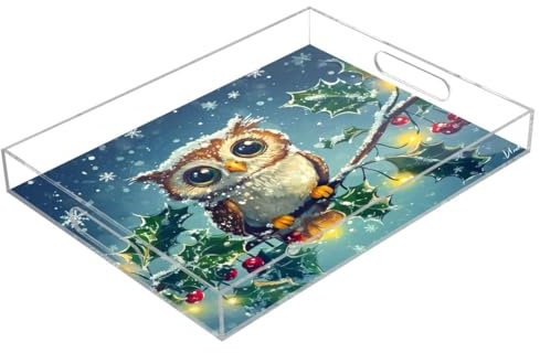 JUMBEAR Plateau de service en acrylique transparent avec baies et hiboux de Noël – Plateaux transparents pour service alimentaire, restauration, fêtes, mariages, anniversaires – Plateaux à sandwich et