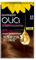 Garnier Olia Permanent Hair Dye, Up to 100% Grey Hair Coverage, No Ammonia, 60% Oils, 5.3 Golden Brown
