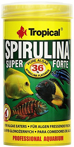 Tropical TR Super Spirulina Forte 36% 250 ml/50 g