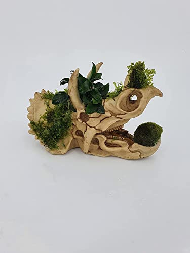 Sahawa Garnelenbäumchen Polyresin Kunstharz Deko bepflanzt mit echten Wasserpflanzen von Tropica Anubia,Moos und Farn Aquarium Deko (Nashorn groß)