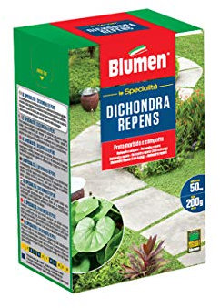 Blumen 8006933029745