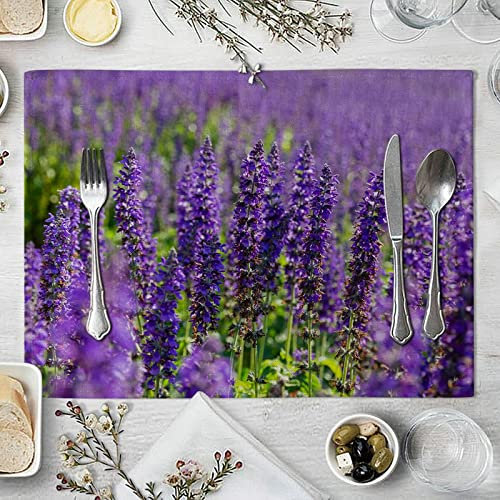 Gualiy Tovagliette Rettangolari Set da 2, Tovagliette Sottopiatti Lavabili 42x32cm Lavanda Modello Tovagliette per Piatti