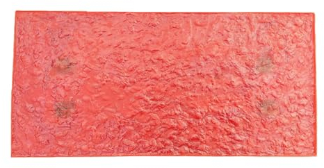 ZBJDX Moule pour Sol en BéTon Gaufré, 31.5 X15.7 Tapis D'Estampage sans Couture pour Le Bricolage, Le Recouvrement De BéTon Et Les Projets De Motifs en Pierre