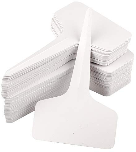 KINGLAKE 100 Pezzi Etichette Per Piante in plastica,T-Tipo Etichette per Piante Impermeabili, Etichette per Semi da Giardino,10 x 6 cm, Bianco