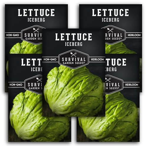 Iceberg Lettuce Seeds for Planting – Crisp Head Lettuce Variety with Crunchy Texture and Sweet Flavor, High Yield Heirloom Non-GMO Seeds for Home Gardens – Survival Garden Seeds (5 Packs)