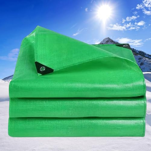 Flycn Lona Impermeable Exterior, 2x5m 220g/m² Lona de Protección Toldo con Ojales de Aluminio, Duradera Resistente a Los Rayos UV Desgarros, Multiusos para Muebles Jardín Coche PE Verde