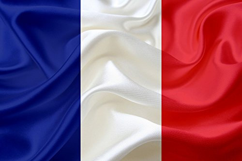 Oedim Bandera de Francia 150x85cm | Reforzada y con Pespuntes | Bandera Francesa con 2 Ojales Metálicos