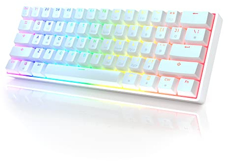 HKKB GK61 Mechanical Gaming Keyboard 60 Percent | 61 RGB Rainbow LED Backlit Programmable Keys | USB Wired | for Mac and Windows PC | Hotswap Gateron Optical Silver Switches | White