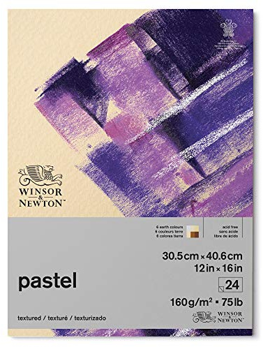 Winsor & Newton Professional Pastel Paper Pad, 12 x 16, 24 sheets, 160gsm, Earth Colors