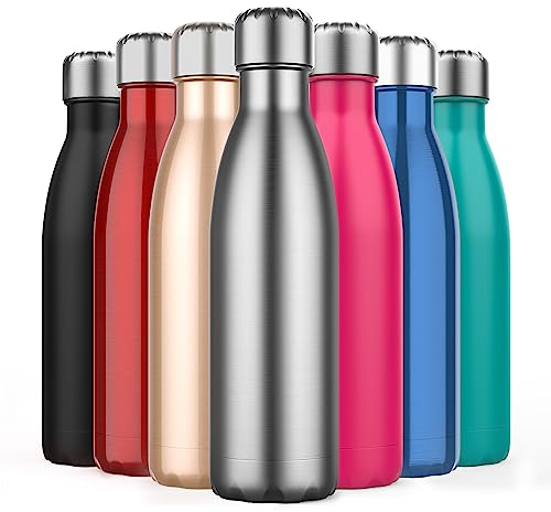 500ml Insulated Water Bottle, Double Wall Stainless Steel Vacuum Bottle Keep 24 Hours Cold & 18 Hours Hot - BPA Free for Outdoor Sports, Fitness, Hiking, Camping, Office,School (Sliver)