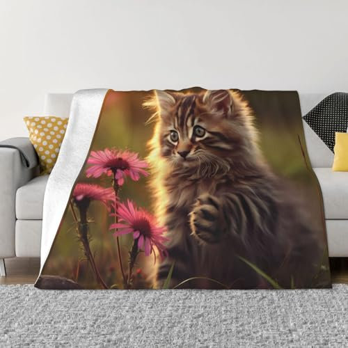 Kuscheldecke mit Katzenmotiven, superweiche Microfleece-Decke, warme Decke, geeignet für Bett, Sofa, Wohnzimmer, 127 x 101 cm