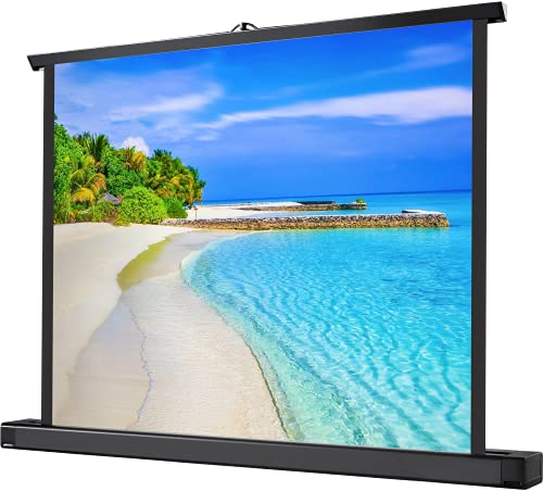 Celexon Tischleinwand Professional Mini Screen 61 x 46cm