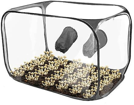 Mushroom Monotub Kit, Mushroom Growing Still Air Box, Home Mushroom Grow Kit, Foldable Mushroom Grow Bags for Fresh Air Exchange, Portable Up Mushroom Container Set