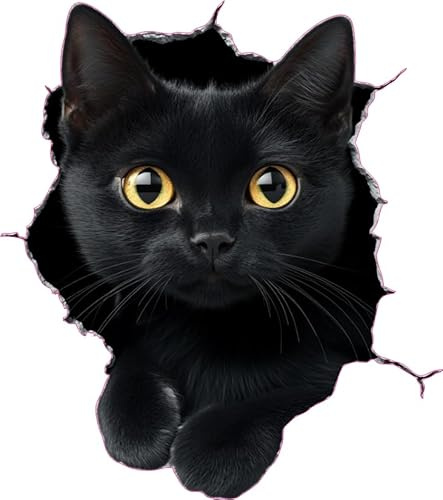 Black Manx Cat Vinyl Sticker Cute Kitten Lover Decal Gift Idea 20cm & 7cm | Cover Marks, Non Transparent, No White Edges, UV Resistant, Multi Purpose Aesthetic Pet Art Transfer Wall Phone Cup Car Bin