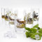 GTK - Geweihe & Trophäen KRUMHOLZ Lot de 6 verres à long drink 400 ml hauteur 13 cm verre avec décorations colorées pour la chasse en carton cadeau