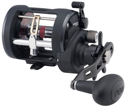 Penn Warfare Level Wind Multiplier Angelrolle für Salzwasser Boot oder Kajak Angeln