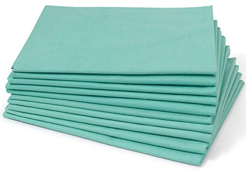 Dr. Güstel Waschfaserlaken Color mintgrün 160x210cm 25 Auflagen für Massage- und Kosmetikliegen