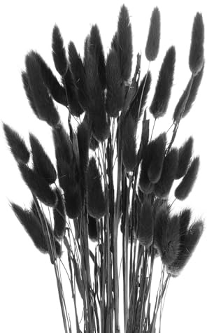 QUARKZMAN 50 Stück Natürliche Getrocknete Pampas Kaninchen Häschen Schwänze Getrocknete Blumen 18 Mini Pampas Gras Lagurus Ovatus Bündel für Zuhause Blumendeko, Schwarz