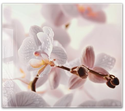 Herdabdeckplatte 60x52 cm einteilig – Orchidee, Blüten, zarte Pastellfarben, elegante Blumen, Naturmotiv, Wellness | ESG Glas Ceranfeldabdeckung, Schneidebrett, Abdeckplatte