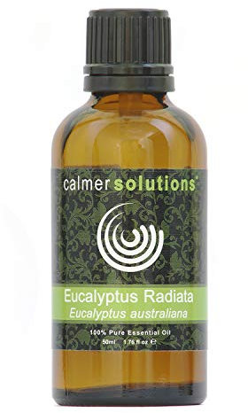 Calmer Solutions Eucalyptus Radiata Essential Oil 50ml – 100% Pure & Natural – Gentle Aromatherapy Oil for Diffuser, Inhalation & Massage