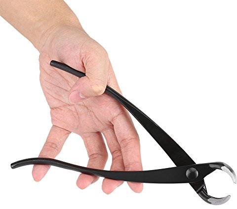 Zerodis Attrezzo per Potatura Bonsai, Pinze per Bonsai Manico in Acciaio 20 cm, Utensili Taglio Bonsai per Principianti, Giardinaggio Bonsai (#2)