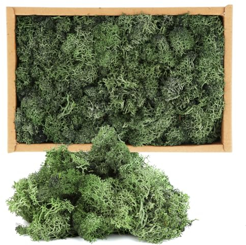 Grünes Dekomoos Isländisch, 250g Natur Moos, Grünes Konserviertes Moos, Islandmoos für Moosmalerei, Weihnachtsdekoration Modellieren