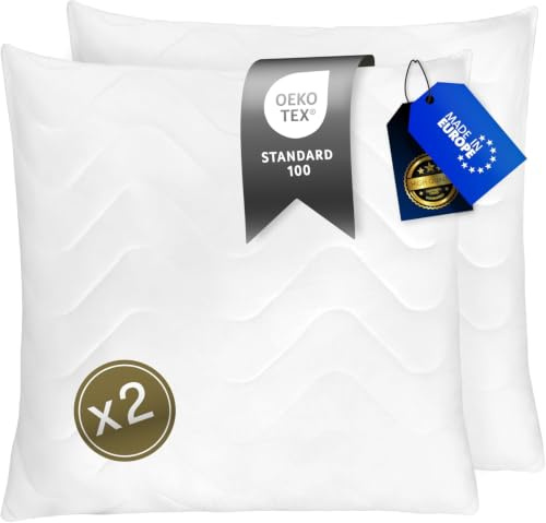 FAM' Home de Luxe Oreiller 65x65 Lot de 2 - Garnissage volumétrique (820g) - Blancs ergonomiques - Entretien Facile - Lavable Jusqu’à 95 °C - Moelleux Coussin 65x65cm Hypoallergéniques - Anti acarien