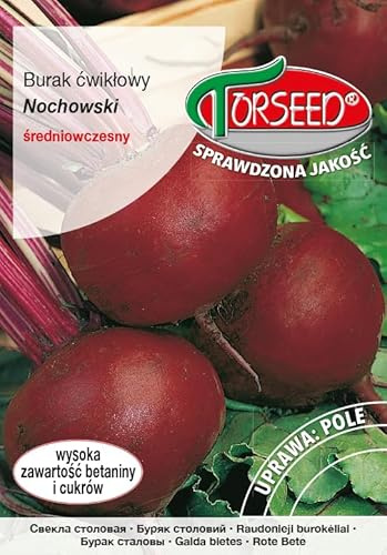 Verdica Semillas de remolacha Nochowski, carne de cereza oscura, alto contenido de betanina, rendimiento 55-60 toneladas, siembra abril-julio, ideal para fines culinarios (10 gramos)