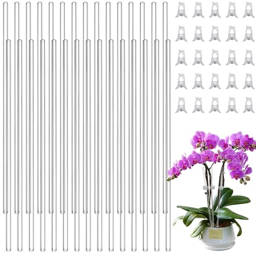 30 bastoncini di supporto per piante in acrilico trasparente, 40 cm, con 30 clip trasparenti per orchidee per la casa, il giardino, la pianta rampicante