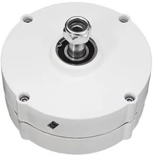 DUOCAI Generador de imán Permanente de Baja RPM, 10 kW, 5000 W, 8000 W, 10000 W, 12 V, 24 V, 48 V, trifásico, CA, pequeño alternador for aerogenerador de Bricolaje, sin Base.(Double Shaft,48V_8000W)