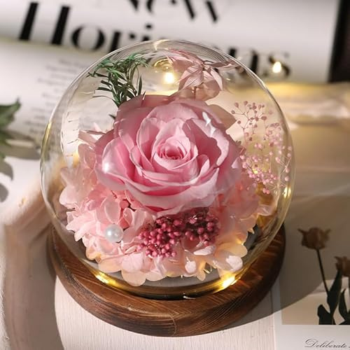 Gugxiom Eternal Rose in Glass with Light, Infinity Rose, Ewige Rote Rosen, Preserved Real Flowers für Women, Girlfriend, Mum, Grandma, Christmas, Mother's Day, Valentine's Day Gifts (Rosa)
