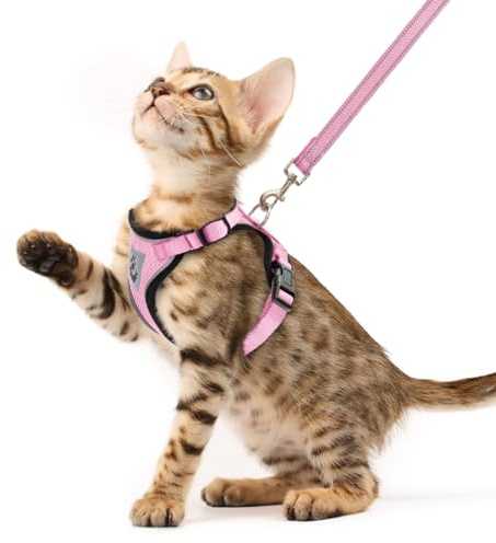 PUPTECK Katzengeschirr und Leine Set Flucht Beweis reflektierende Katze Walking Geschirr einstellbare weiche atmungsaktive Mesh-Weste f¨¹r kleine Haustiere, Hellrosa, XS
