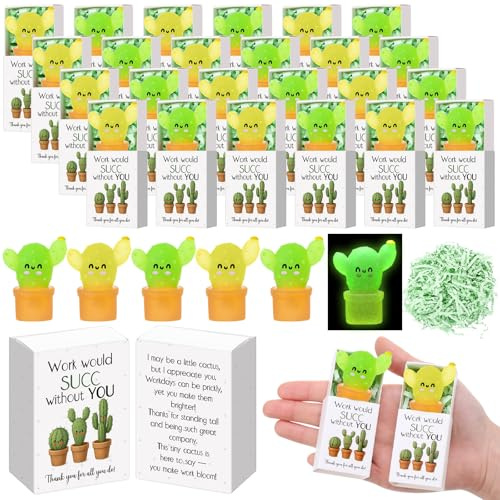 Wettarn 20 Sets Work Appreciation Gifts Cactus Stress Balls with Thank You Boxes Bulk Company Party Favors for Employee Coworker Staff Office Positive Relief Desk Decor, Luminous